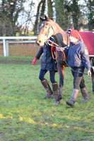 Young Horse Maiden  11