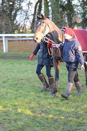 Young Horse Maiden  11
