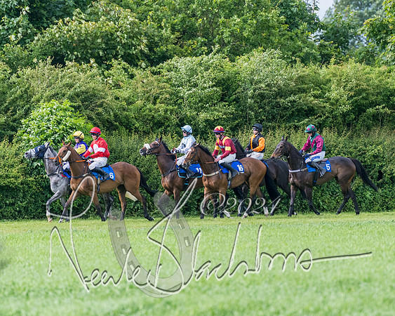 Race 5 - Restricted Race (175 of 434)