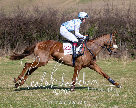 Race 1 - Maiden (70 of 188)