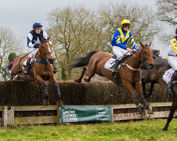 Race 2 - Open Maiden (81 of 128)