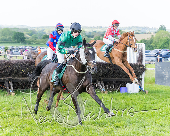 Race 7 - Veteran Horse (37 of 246)