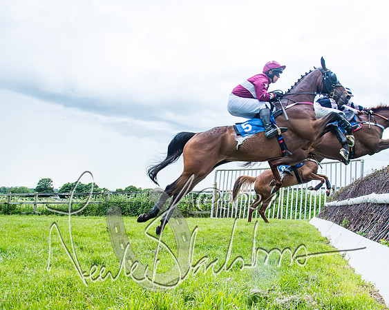 Race 3 - Conditions (213 of 367)
