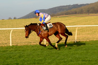 Race 6 - Restricted 12