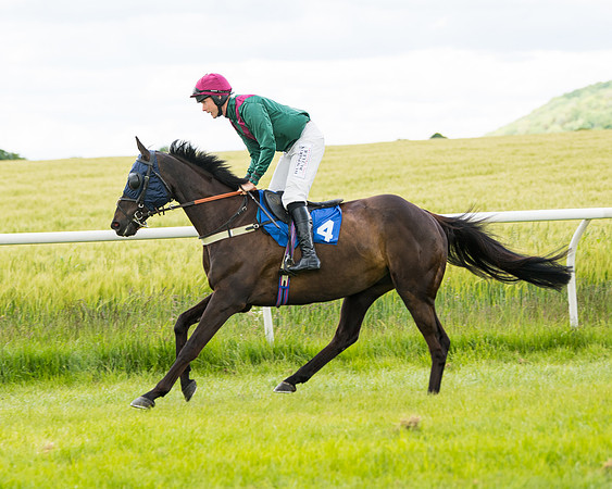 Race 1 - Owner Trainer Conditions  (46 of 133)