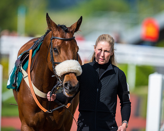 Race 1 - The open Hunter chase  (20 of 95)