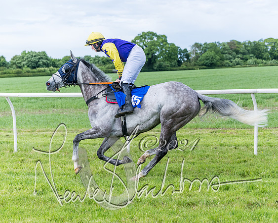 Race 5 - Restricted Race (107 of 434)