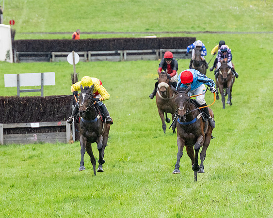 Race 8 - Bumper Div 2 (42 of 84)