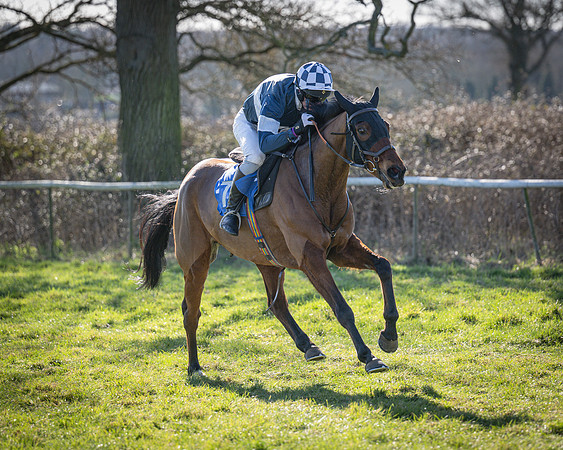 Race 2 - Restricted (52 of 63)