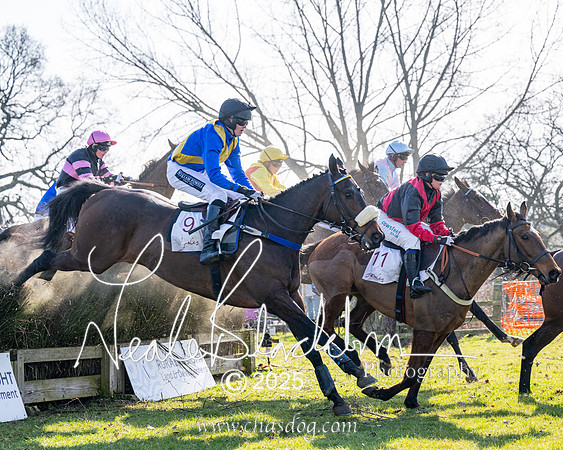 Race 1 - Maiden (126 of 188)