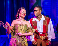Swan Panto 2017