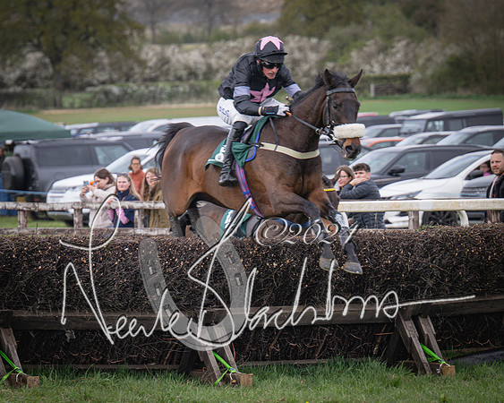 Race 3 - 5 years old and Over Maiden Race (42 of 130)