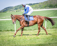 Race 2 The Highwayman Inn Restricted Race (6 of 144)