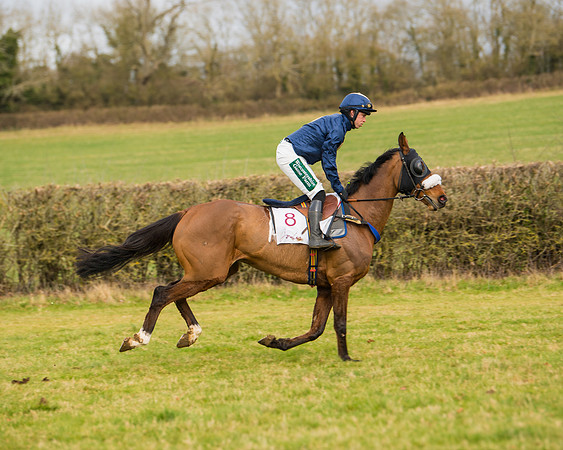 Race 2 - Open Maiden (48 of 128)