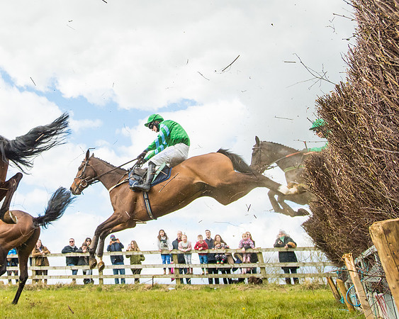 Race 2 - Young Horse Maiden (44 of 104)