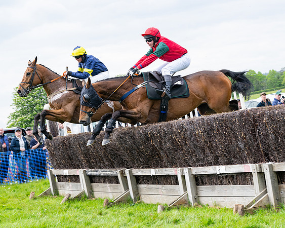 Race 2 - Veteran Horse (44 of 80)