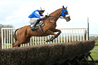 Southern Grand National  16