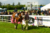 Race 4 - Novice Riders 8