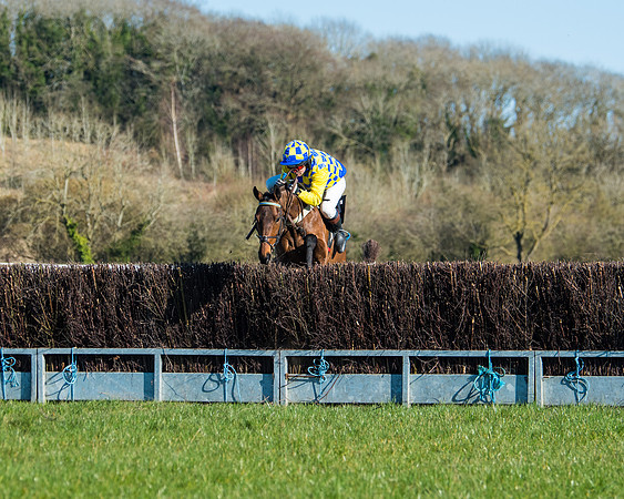 Race 5 - Novice riders (45 of 201)