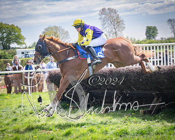 Race 2 - The Elliott of London maiden race (94 of 137)