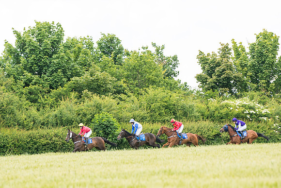 Race 5 - Restricted  (62 of 136)