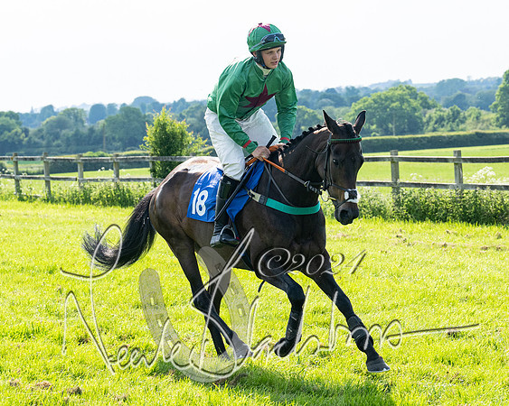 Race 5  - Maiden race 2m5F Div-2 (59 of 205)