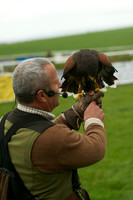 3 - CA Birds of Prey 5