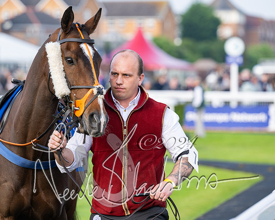Race 4 - Stratford Foxhunters (16 of 145)