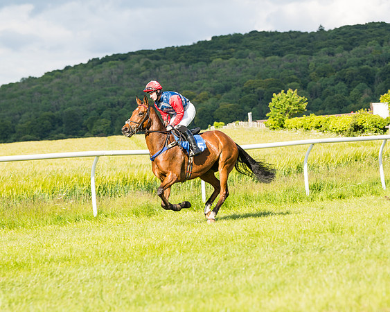 Race 6 - Open Maiden (63 of 227)
