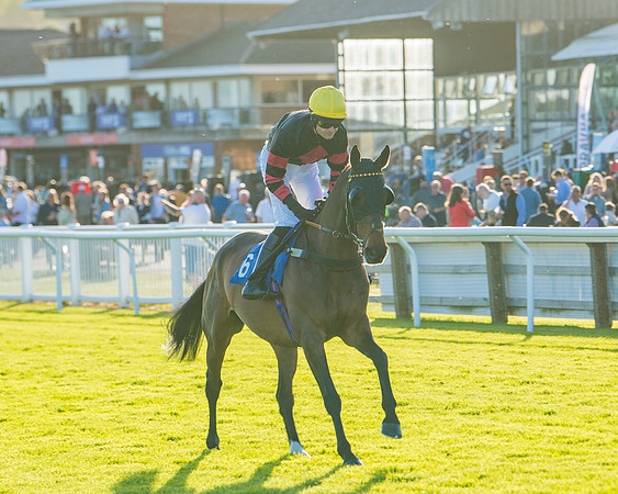 Race 5 - White Swan Hotel Handicap (6 of 80)