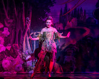 Swan Panto 2017