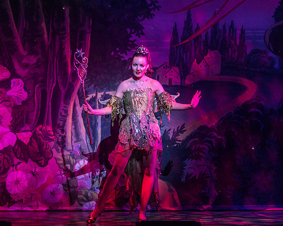 Swan Panto 2017