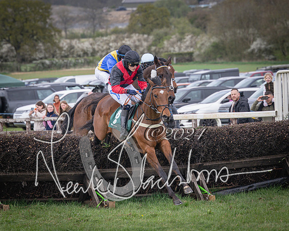 Race 3 - 5 years old and Over Maiden Race (47 of 130)