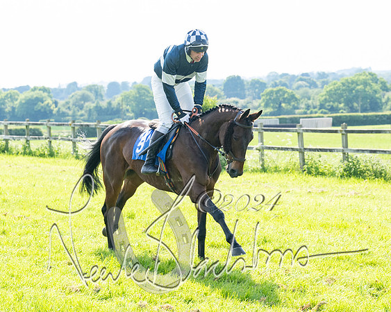 Race 5  - Maiden race 2m5F Div-2 (75 of 205)