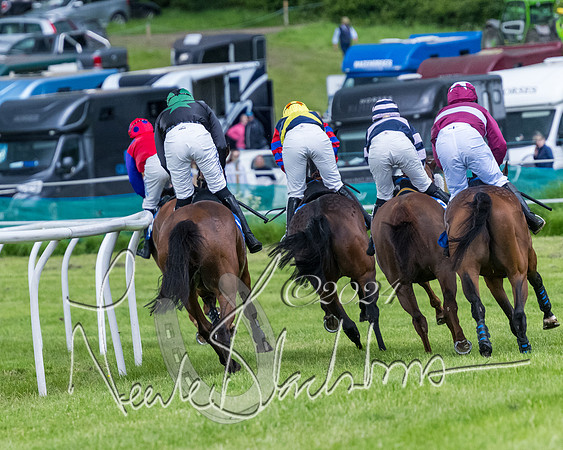 Race 3 - Conditions (189 of 367)