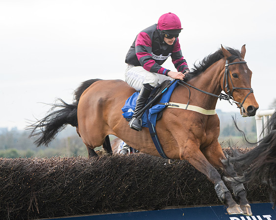 Race 6 - The Restricted Race (112 of 200)