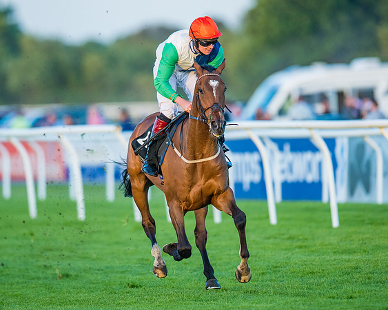 Race 7 - ITM Bumper (60 of 72)