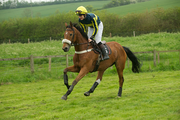 Race 2 - Novices 16