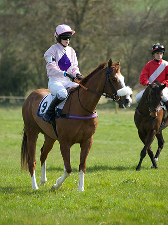 Pony Race 3 -  18