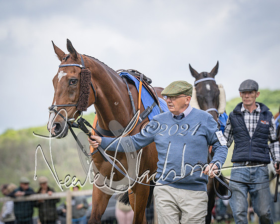 Race 2 - PPORA Members conditions race for Novice riders (18 of 127)
