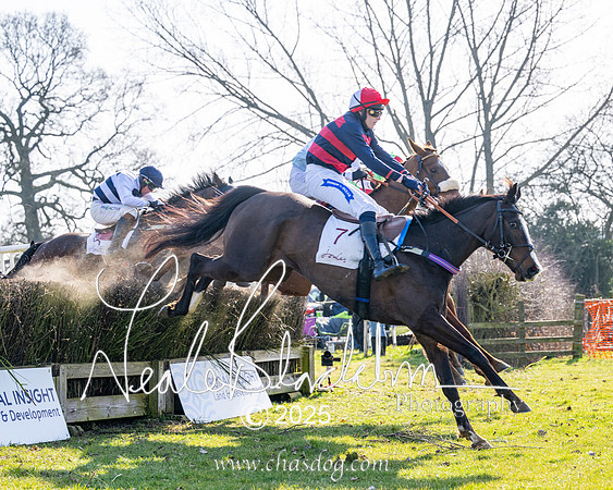 Race 1 - Maiden (122 of 188)