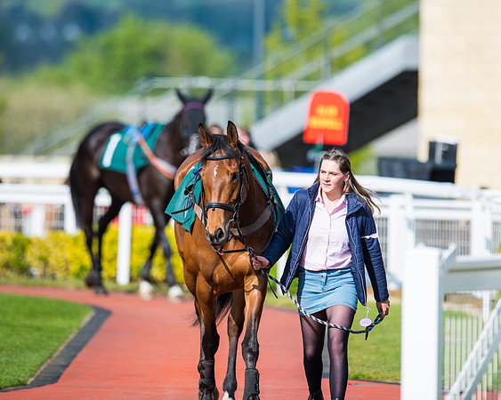 Race 1 - The open Hunter chase  (2 of 95)
