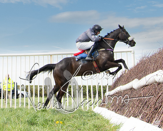Race 2 - The Elliott of London maiden race (111 of 137)