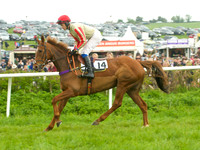 Old Berks at Lockinge Restricted Race