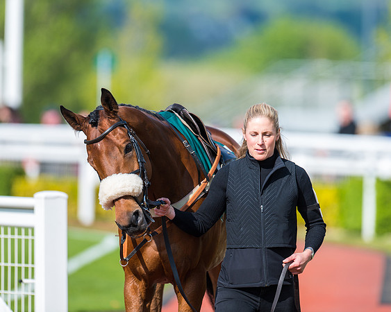Race 1 - The open Hunter chase  (13 of 95)