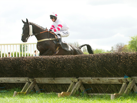 Kimblewick at Kimble Confined Hunts Race