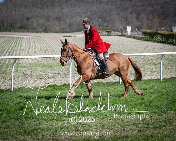 Race 2 - The Maiden (25 of 118)