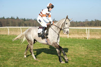 Races 5 - Restricted 7