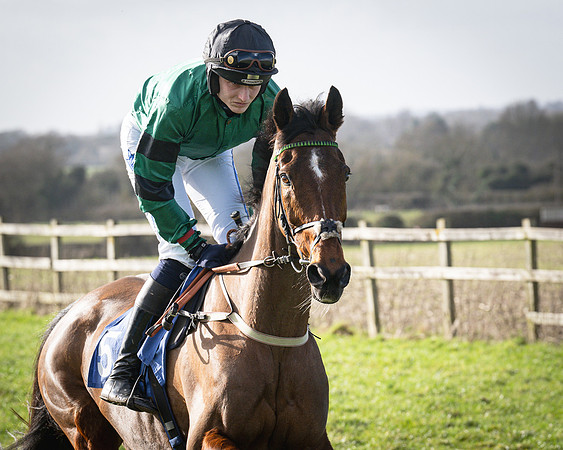 Race 5 - Home counties Grand National (20 of 194)