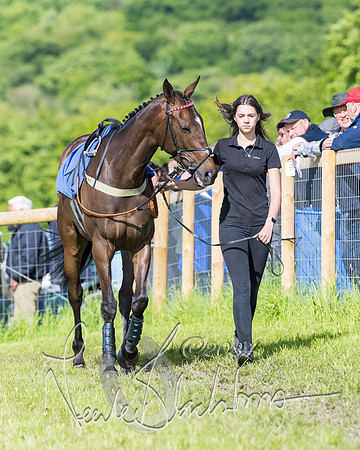 Race 6 - The Maiden  (3 of 448)